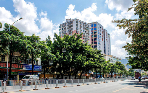 国际传播大厦周边环境 